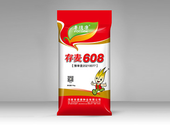 存麦608