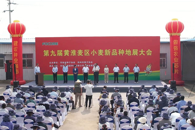 70个优秀小麦品种获推荐！来黄淮麦区地展会上“看禾选种”
