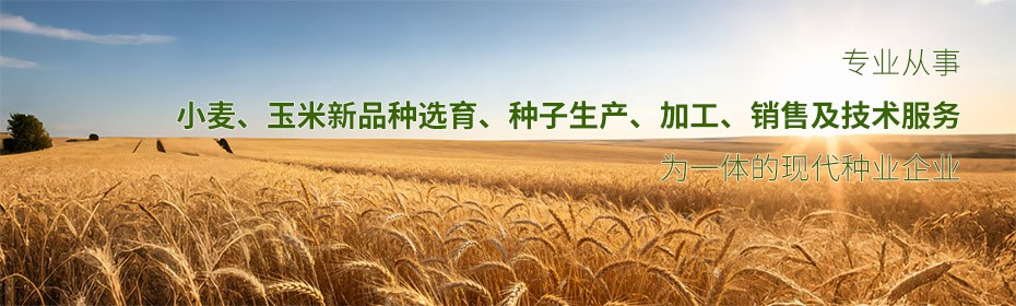 未标题-1.jpg